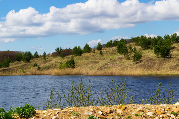 A small river with stones scattered along the coast flows between small hills, with birches and pines growing on them, against a blue sky with white clouds on a spring day.