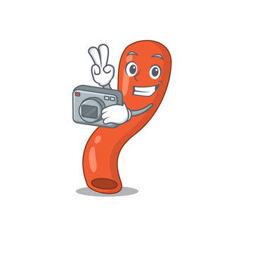 a professional photographer appendix cartoon picture working with camera