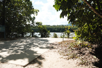 Daintree river, Australia: Path leading to a crocodile river 