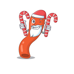 Friendly appendix dressed in Santa Cartoon character with Christmas candies