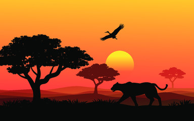 Fototapeta na wymiar African nature on sunset
