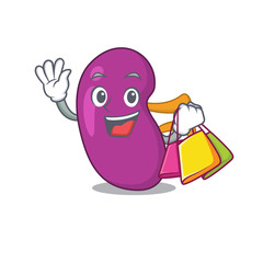 wealthy kidney cartoon character with shopping bags