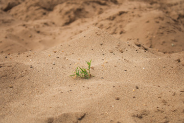 close up of sand on the hot summer day background