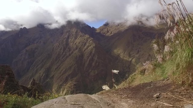 Plants and mountains in Cusco, Peru
