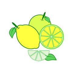 lemon and lime citrus fruit and slice on white 