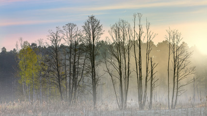  wschód słońca na Mazurach w północno-wschodniej Polsce © Janusz Lipiński