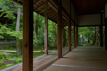 Fototapeta na wymiar 夏の京都の寺院