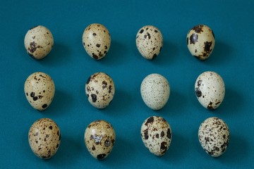 Quail eggs set close-up background. Egg pattern on a bright turquoise background.Useful fresh  diet product.Quail eggs row