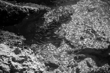 Top view of clear water at Isla Mujeres beach, Mexico