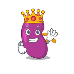 A Wise King of kidney mascot design style with gold crown