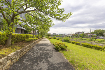 Fototapeta na wymiar 歩きたくなる遊歩道