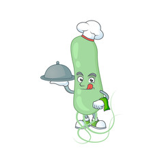 A aquificae chef cartoon mascot design with hat and tray