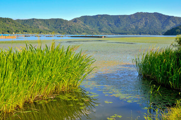 滋賀県の余呉湖