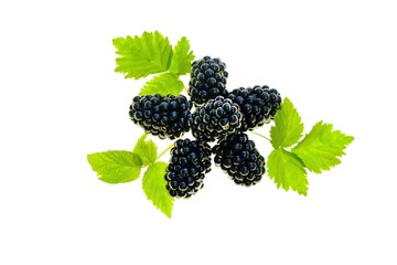 Blackberry berry with leaves Isolated on a white background. Black berries  on a white background....