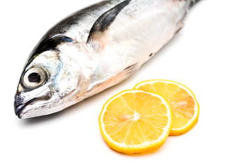 Close up torpedo scad fish with lemon slices over white background.