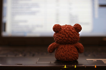Teddy bear working at the computer