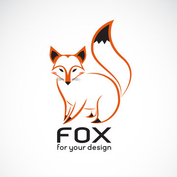 Vector of fox design on white background. Wild Animals. Fox logos or icons. Easy editable layered vector illustration.