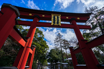 Fototapeta na wymiar 赤い鳥居と青空 (日本 - 福井 - 気比神宮)