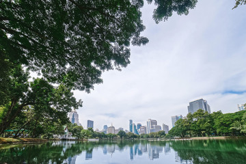 Lake, park, trees and skyscrapers landscape. Urban life. Green water.