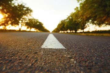 Empty asphalt road with trees on the sidelines at sunset
