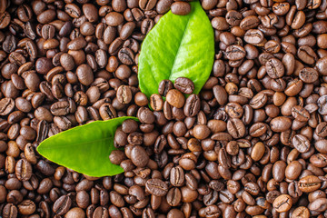 Roasted aromatic coffee beans with green leaves as a background. The view from the top