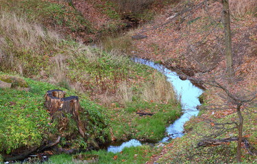 Small meandering stream in autumn earth