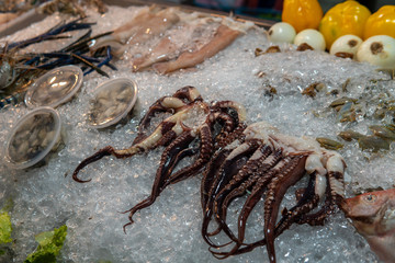 Fresh seasfood being kept cool on ice