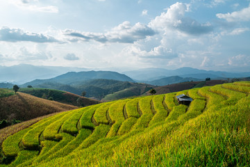 Obraz premium Rice terraces of hill tribe people in Mae Chaem District Chiang Mai is becoming golden, looks refreshing and relaxed.