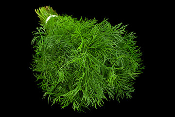 Dill herb bunch on background