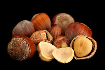 Hazelnut nut closeup on black