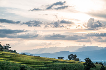 Fototapeta premium Rice terraces of hill tribe people in Mae Chaem District Chiang Mai is becoming golden, looks refreshing and relaxed.