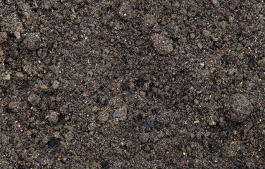 Soil texture background