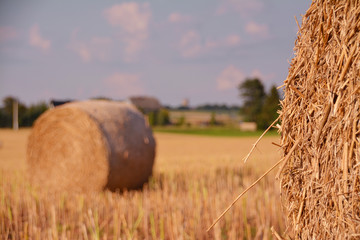 Strohballen auf dem Feld im Spätsommer