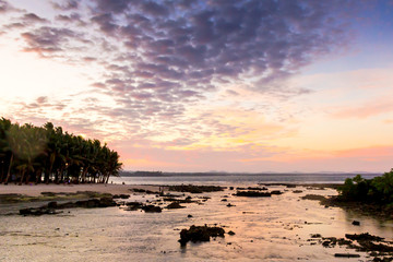 Siargao Island Palms Beach Ocean
