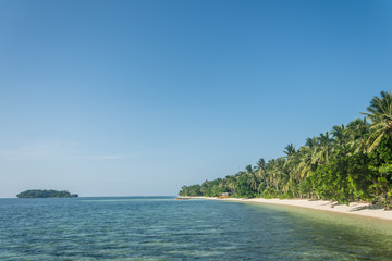 Siargao Island Palms Beach Ocean