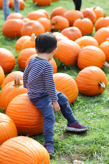A little boy wearing blue long sleeves shirt and jeans sitting on a pumpkin in a pumpkin patch
