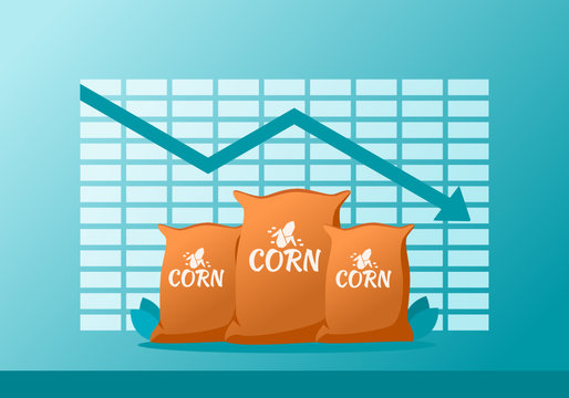 Maize or Corn Raw Staple Food Material Price Value Stock Market Demand Decrease Drop Fall Down Statistic Report with Graph Chart Diagram Illustration Vector. Can be Used for Web, Infographic & Print