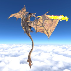 Fototapeta premium ドラゴン