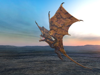 ドラゴン © tsuneomp