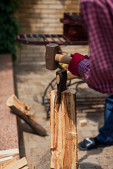 Two people prick log on stump closeup