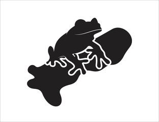 Frog vector logo design template