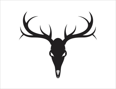 deer logo design vector ilustration