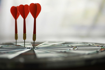Darts. The dart for playing in the game board is stuck. Hit the sector in darts. The concept of a...