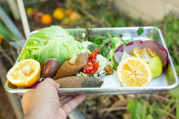A view of a hand hold a metal tray full of discarded produce parts. A compost pile is in the...
