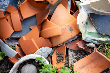 A view of several broken pieces of terra cotta pottery in a garden setting.