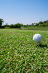 Golf Ball on tee at the teeing area. Golf course with a rich green turf beautiful scenery.