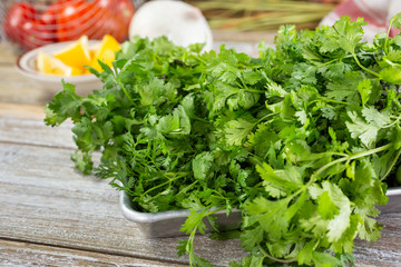 A view of a metal tray full of several bundles of fresh cilantro.
