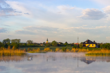summer sunrise landscape with swan, lake and sky