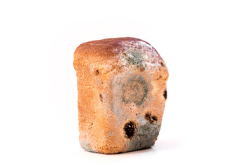 spoiled bread with mold isolated on a white background