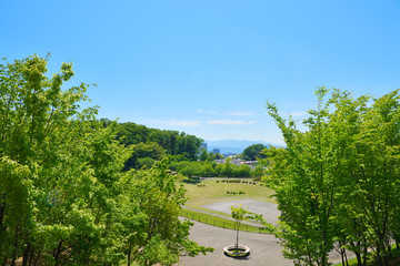 Fototapete bei efototapeten.de bestellen   